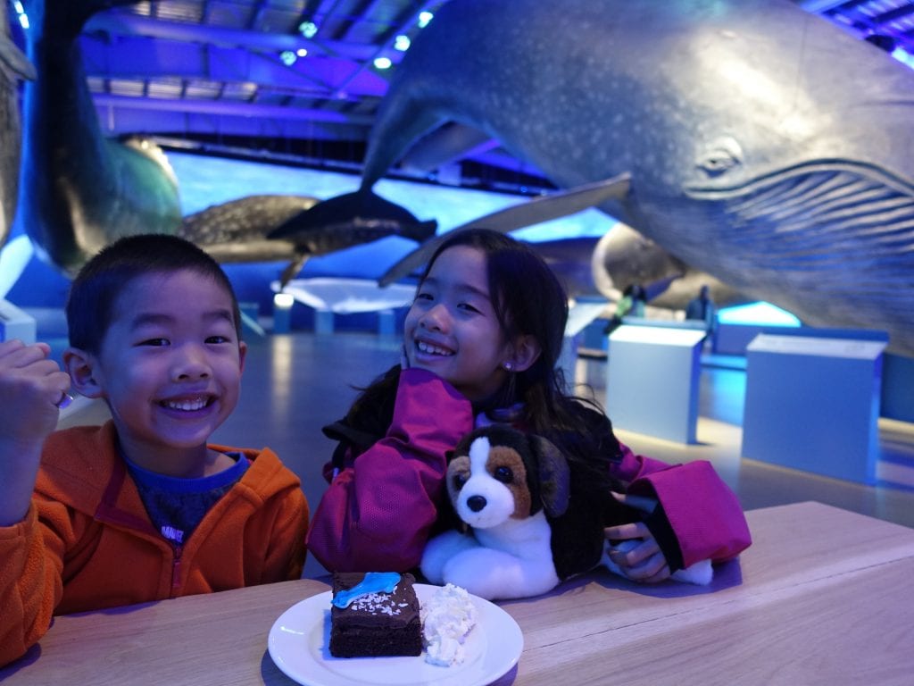 冰島首都剛開幕的鯨魚博物館