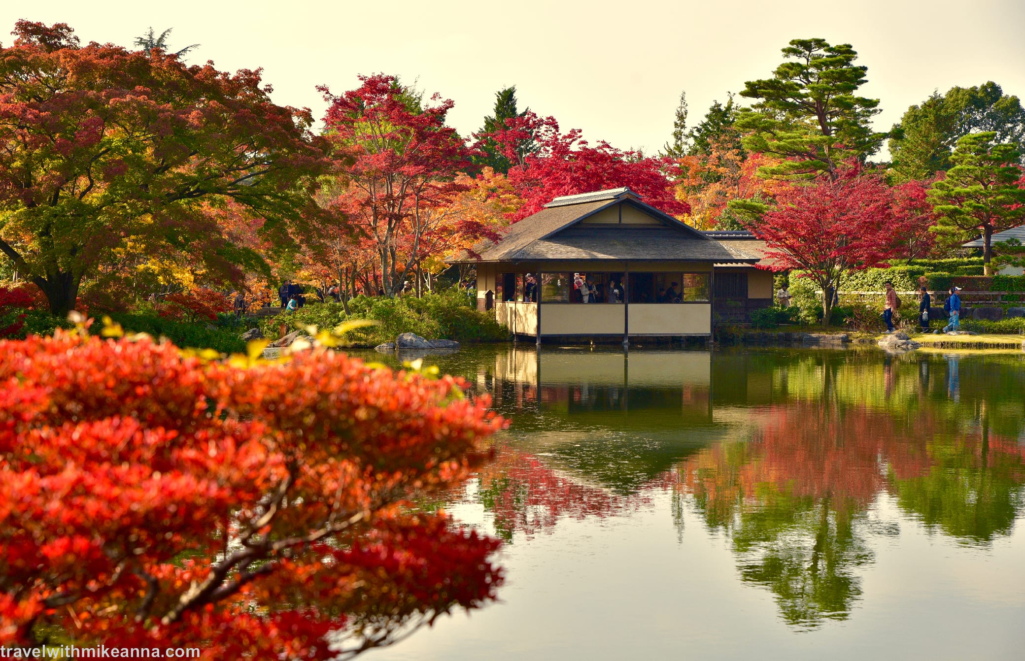 昭和紀念公園 日本庭園