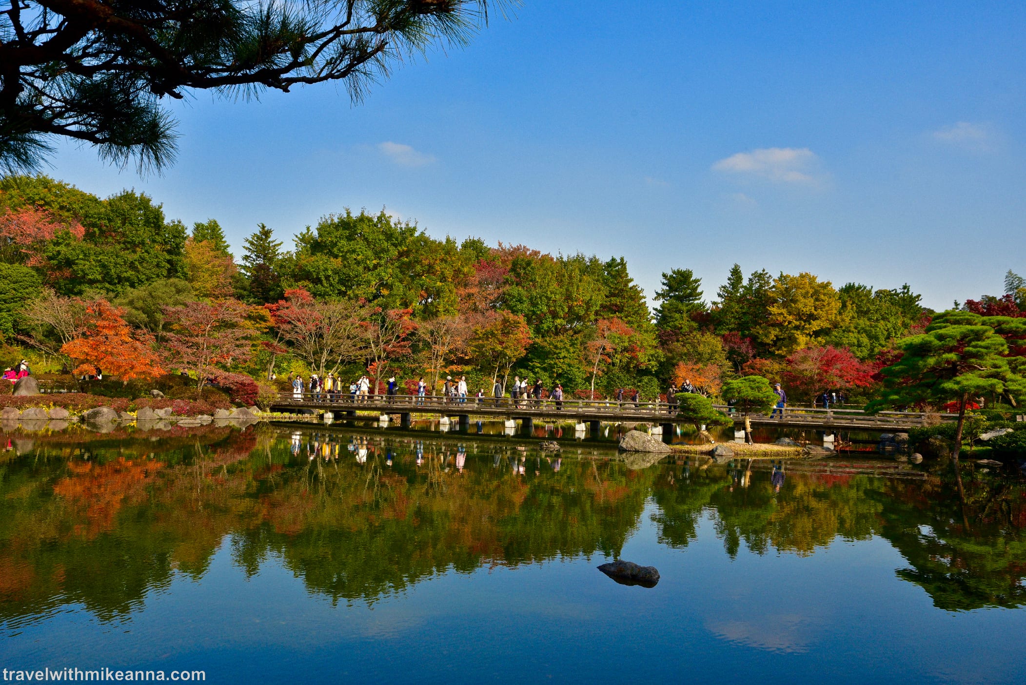 昭和紀念公園 日本庭園