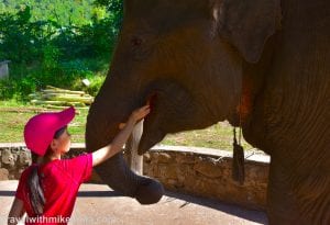 Myanmar Greenhill valley Elephant camp 大象營