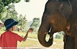 Myanmar Greenhill valley Elephant camp 大象營