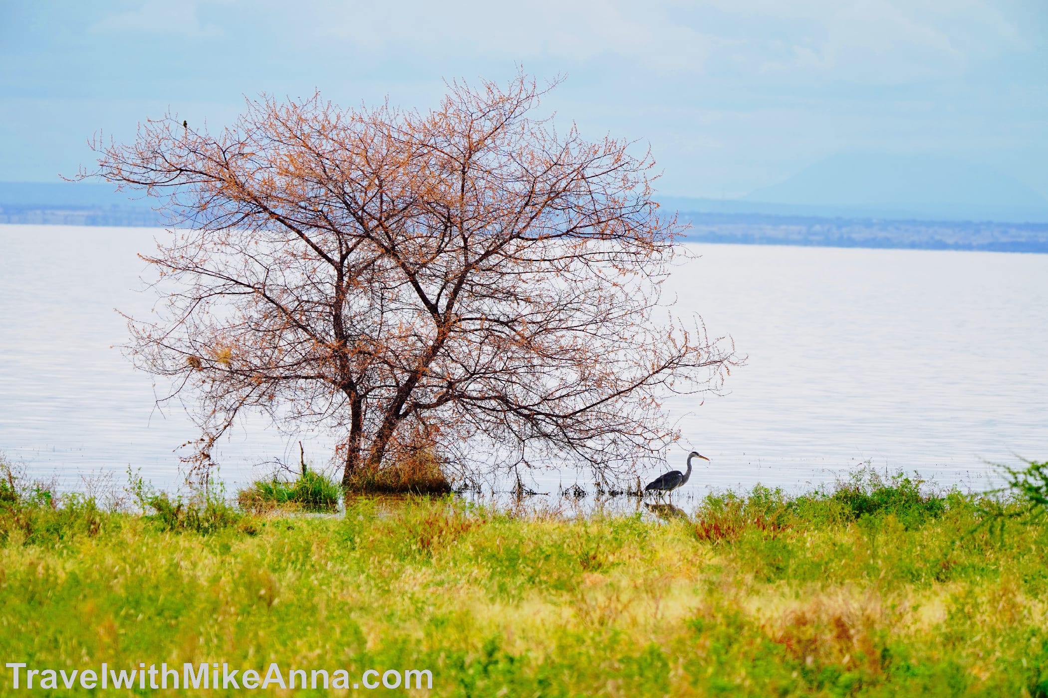 曼雅拉湖 Lake Manyara
