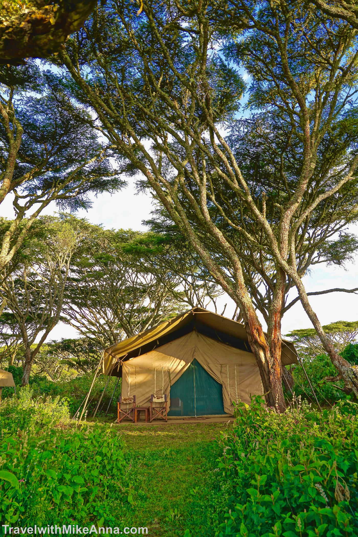 坦尚尼亞 safari glamping 豪華露營