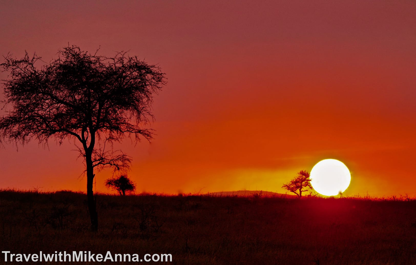 非洲 坦尚尼亞 safari 夕陽落日