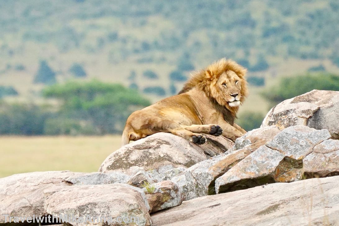 坦尚尼亞 safari 獵遊
