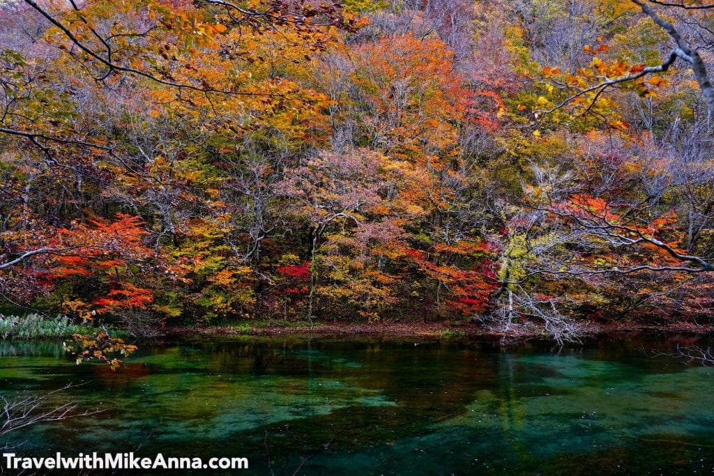 奧入瀨溪流 紅葉 散步
