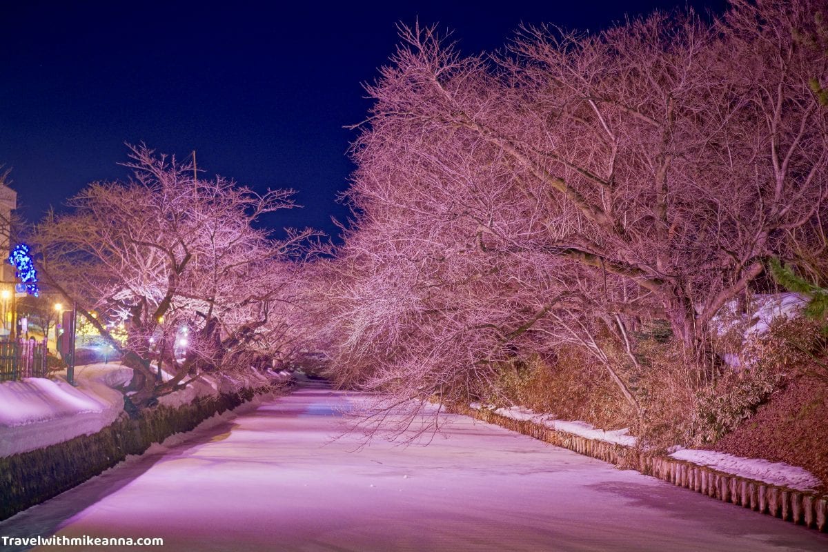 弘前 冬季 夜景