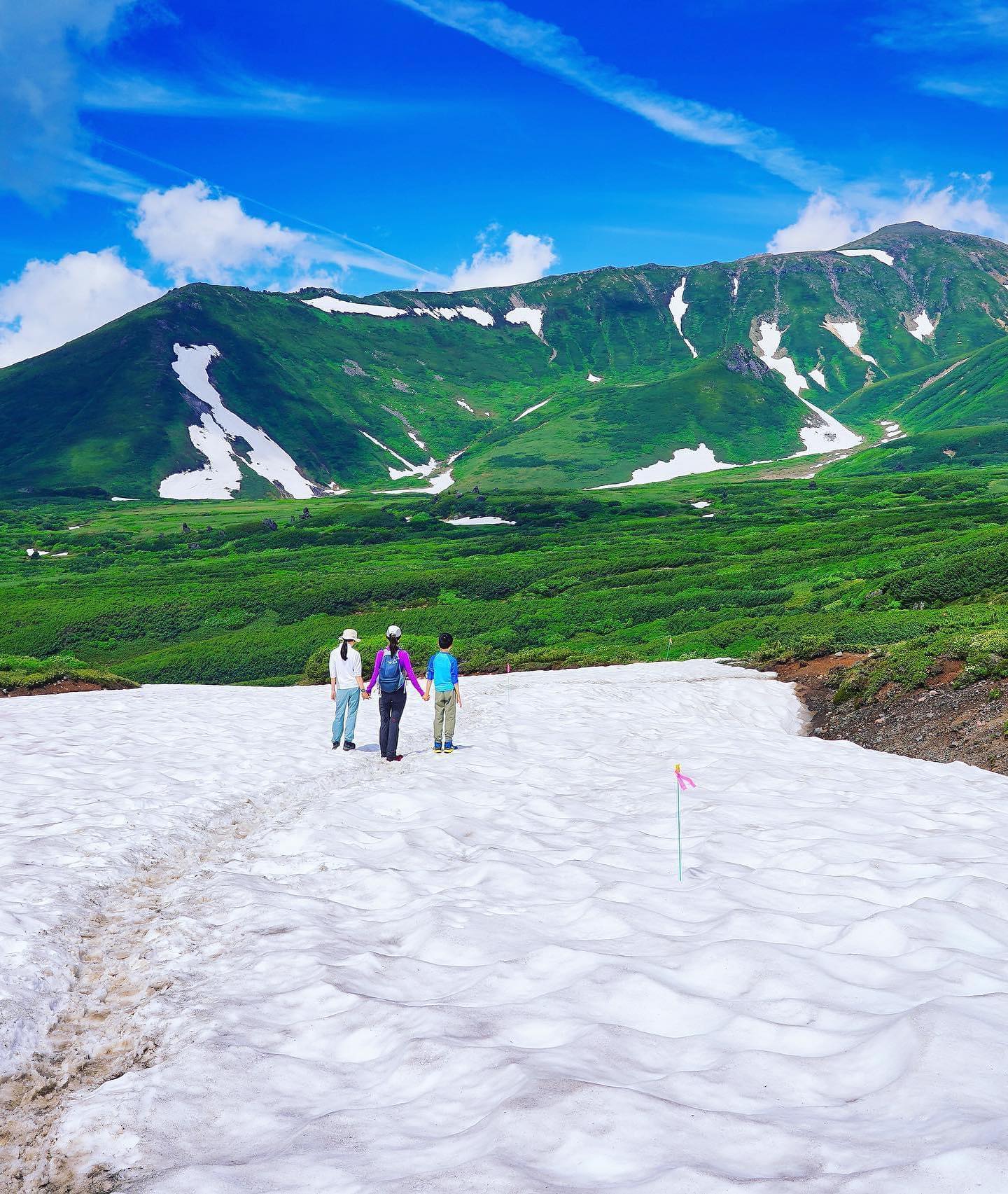 🇯🇵【北海道Hokkaido】大雪山
🏔️北海道著名的大雪山國家公園，夏季翠綠山頭點綴白雪，是非常著名的北海道登山健行首選處
🚠搭纜車可輕易從旭岳登山口出發，許多不同健行路線，從登山新手到進階都可以享受樂趣
👨‍👩‍👧家庭旅行TIP: 如圖可以在健行途中，體驗走在幾小段大雪山終年不化的雪上，輕鬆欣賞壯闊美景，還有野花，湖泊等美景可欣賞。最經典簡單路線只要一小時多就可完成

#japan #hokkaido #daisetsuzan #北海道 #大雪山 #旭岳 #把世界當教室🌍 #日本夏季絕景 #牽手照系列👫 #travelwithmikeanna