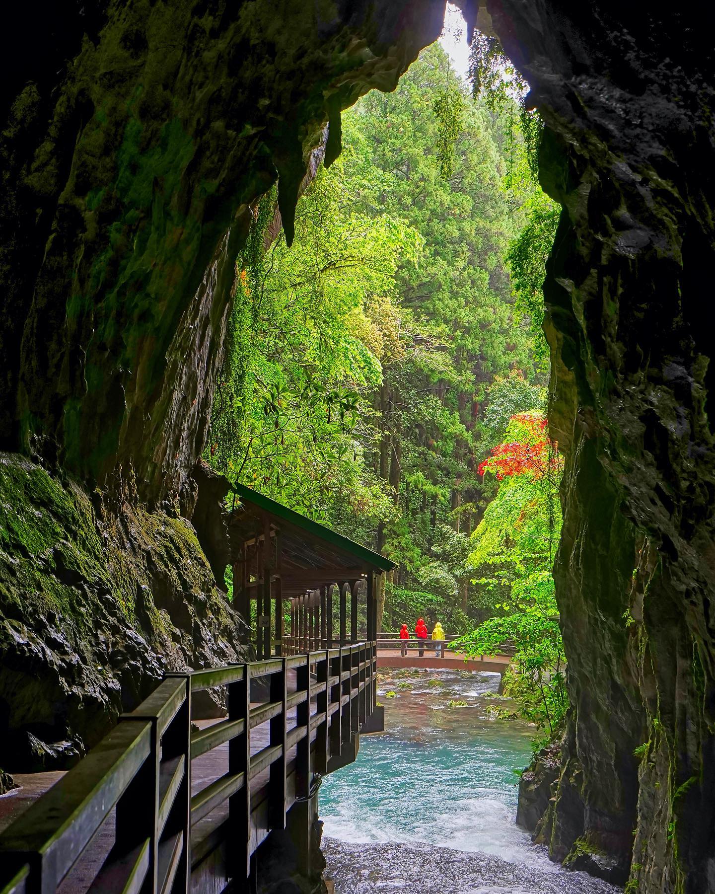 🇯🇵【Yamaguchi 山口縣】秋芳洞
🇹🇼像是台灣島嶼形狀的巨大洞口上。百萬年來瀑布從岩壁直下成地底溪的流動，造就了特殊地形，就像是武俠小說的魔幻場景。
💡位於山口縣美彌市的秋芳洞，是日本最大的鐘乳石洞穴，歷經千萬年涓滴才累積形成的特殊地形，座落在喀斯特地形聞名的「秋吉台國定公園」中。
❤️秋芳洞的鐘乳洞被日本政府列為特別天然紀念物。實際洞穴全長加總達10公里以上，就像是螞蟻窩一樣蜿蜒穿梭在地底約一到兩百公尺
🚶今日開放參觀約為是洞口附近的1公里的步道，獨特的廣大地底世界體驗非常推薦
#japantravel #yamaguchi #山口県観光 #秋芳洞 #把世界當教室🌍 #牽手照系列👫 #travelwithmikeanna