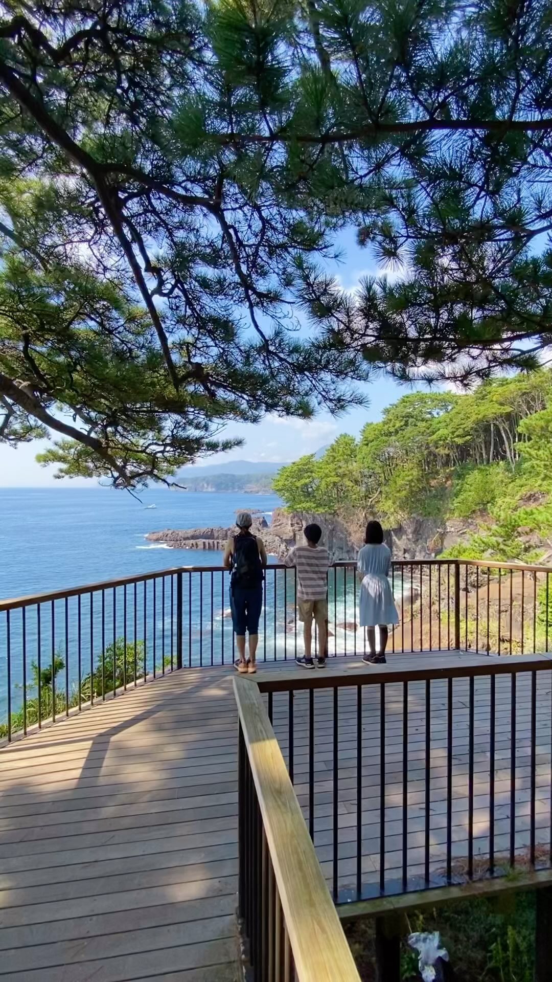 🇯🇵伊豆半島Izu- 城崎海岸
🌊欣賞伊豆著名的海岸步道風光